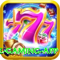 Online Betting Pakistan Elite Gaming App