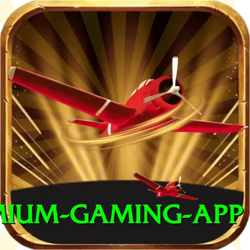 pkr333 Premium Gaming App - 2