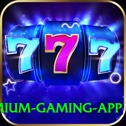 r789 Premium Gaming App - 2